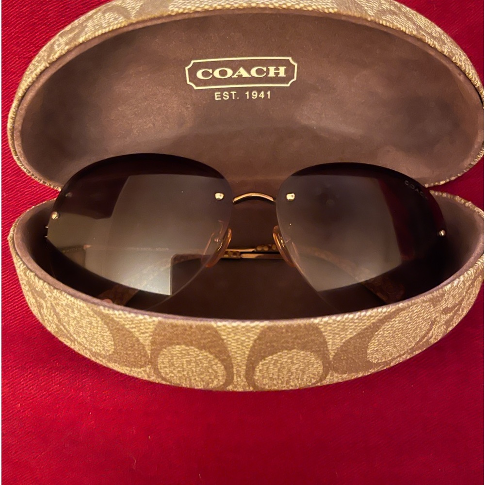 Coach Women’s Sunglasses 5341A Caprice Brown